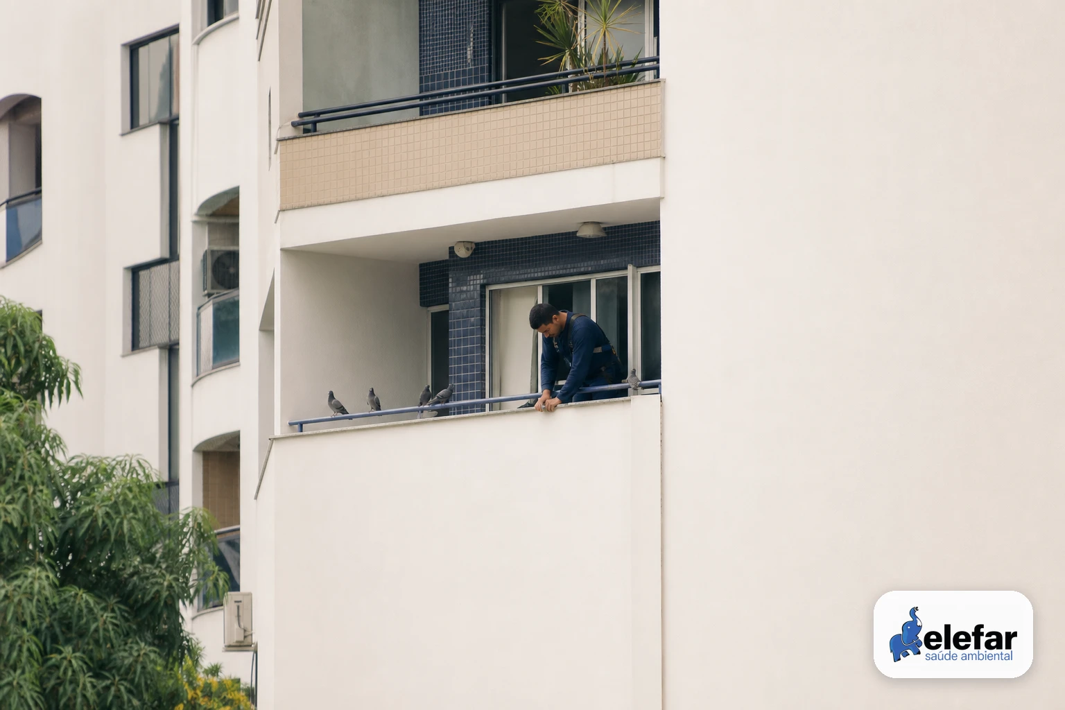 Poucos pombos pousados em peitoril de fachada de condomínio.